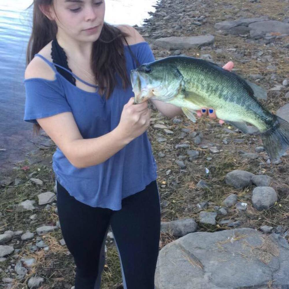 Meet your Posher, Cassidy